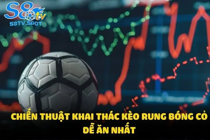 Chiến thuật khai thác kèo rung bóng cỏ dễ ăn nhất từ cao thủ bet bóng